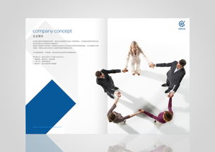 藍色畫冊 企業形象策劃的藝術與策略